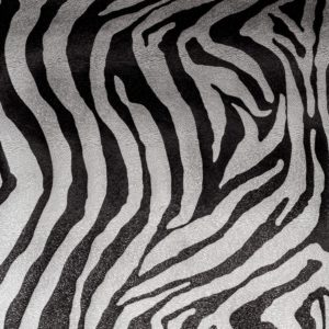 Zebra/MR