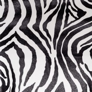 Zebra/MR